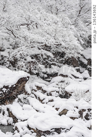 佐見川峡（冬） 136143692