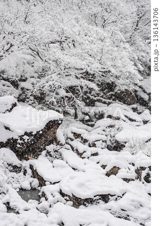 佐見川峡（冬） 136143706