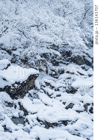 佐見川峡(冬) 佐見川峡(冬) 136143707