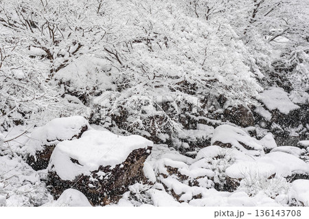 佐見川峡(冬) 佐見川峡(冬) 136143708