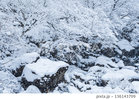 佐見川峡（冬） 136143709