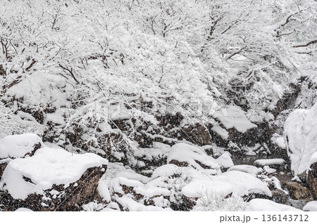 佐見川峡(冬) 佐見川峡(冬) 136143712