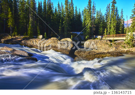 Natural Bridge Rapids and Pine Forest with Wooden Walkway in Sunlight 136143715