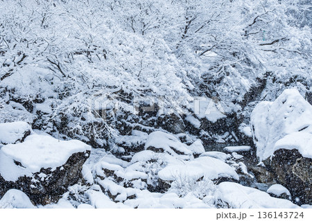 佐見川峡(冬) 佐見川峡(冬) 136143724