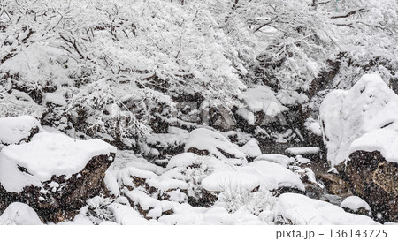 佐見川峡(冬) 佐見川峡(冬) 136143725