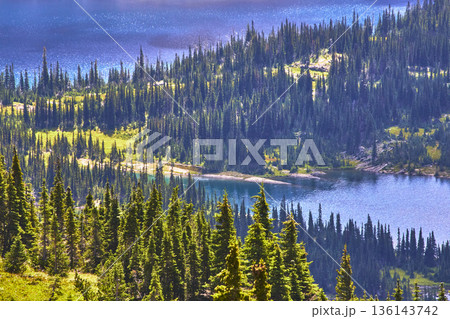 Hidden Lake Trail Alpine Forest and Blue Water in Mountain Wilderness Hidden Lake Trail Alpine Forest and Blue Water in Mountain Wilderness 136143742