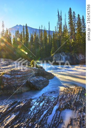 Natural Bridge Mountain River and Pine Forest at Sunrise Golden Hour Natural Bridge Mountain River and Pine Forest at Sunrise Golden Hour 136143766