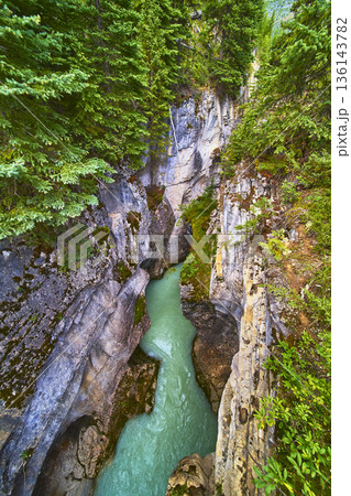 Turquoise River Flowing Through Steep Rocky Canyon Surrounded by Lush Evergreen Forest Turquoise River Flowing Through Steep Rocky Canyon Surrounded by Lush Evergreen Forest 136143782