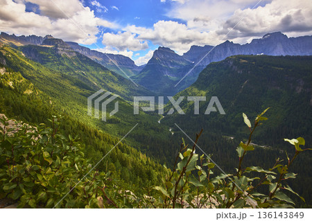 Mountain Valley Forests and Dramatic Peaks Under Summer Sky Mountain Valley Forests and Dramatic Peaks Under Summer Sky 136143849
