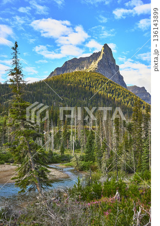 Mountain Peak and Creek with Dead Forest in Lush Valley Montana 136143899