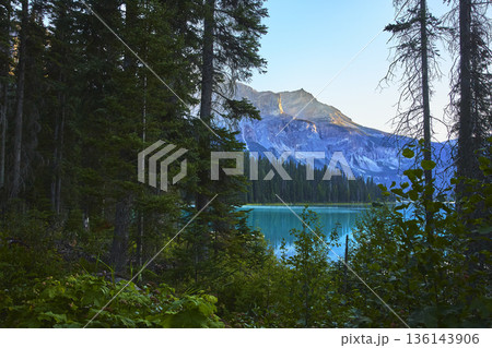 Emerald Lake Forest and Mountain Reflections with Turquoise Water in Morning Light Emerald Lake Forest and Mountain Reflections with Turquoise Water in Morning Light 136143906