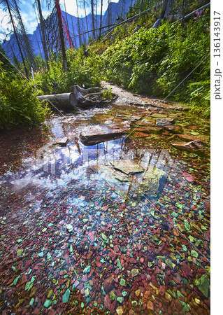 Colorful River Rock Stream and Lush Forest Trail with Mountain Backdrop 136143917