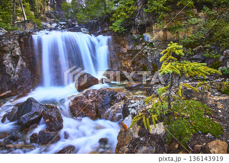 Waterfall Flowing Over Rocky Ledge with Evergreen Tree in Lush Mountain Wilderness Waterfall Flowing Over Rocky Ledge with Evergreen Tree in Lush Mountain Wilderness 136143919