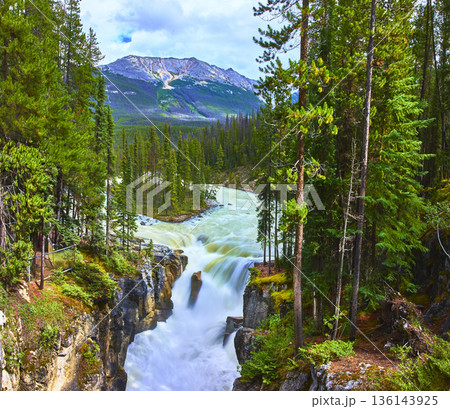 Panorama of Sunwapta Falls Waterfall Flowing Through Forest and Mountain Landscape Panorama of Sunwapta Falls Waterfall Flowing Through Forest and Mountain Landscape 136143925