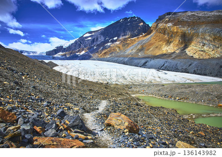Athabasca Glacier and Rocky Mountains with Turquoise Meltwater Pools in Jasper Canada Athabasca Glacier and Rocky Mountains with Turquoise Meltwater Pools in Jasper Canada 136143982