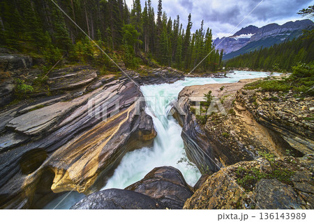 Mistaya Canyon Waterfall Rushing River and Pine Forest with Mountain Backdrop 136143989