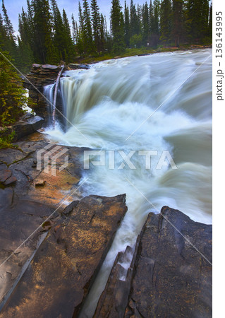 Athabasca Falls Powerful Waterfall Flowing Over Rocky Ledge with Pine Forest 136143995