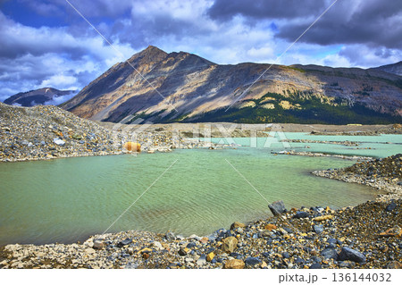 Mountain Lake and Moraine Landscape in the Canadian Rockies Near Athabasca Glacier 136144032