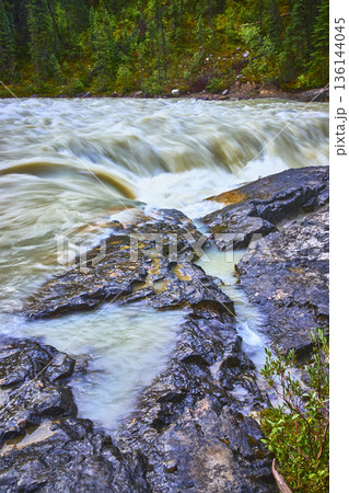 Rushing Waterfall Over Rocky Ledge and Forest at Sunwapta Falls Canada 136144045