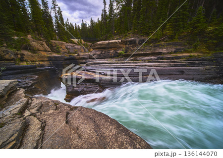 Mistaya Canyon Rapids Flowing Through Rocky Gorge and Pine Forest 136144070