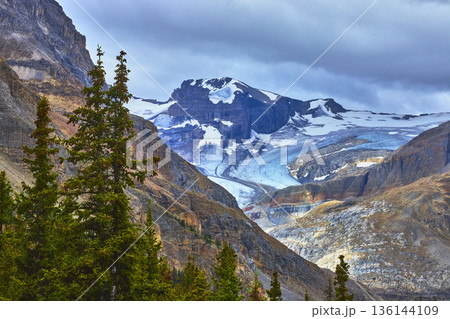 Glacier and Mountain Peaks with Evergreen Forest in Banff Canada Glacier and Mountain Peaks with Evergreen Forest in Banff Canada 136144109