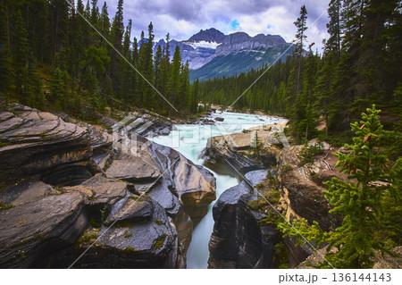 Powerful River Cutting Through Mistaya Canyon with Waterfall and Pine Forest 136144143