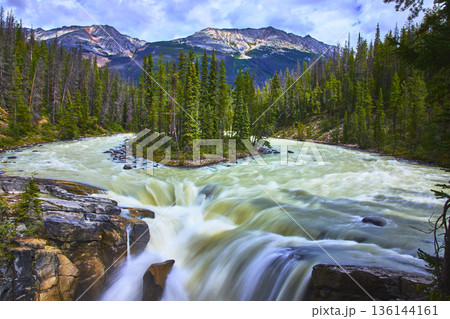 Sunwapta Falls Waterfall Rushing River and Pine Forest with Rocky Mountain Scenery 136144161