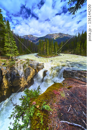 Sunwapta Falls Waterfall and Mossy Forest Edge with Mushrooms in Mountain Wilderness Sunwapta Falls Waterfall and Mossy Forest Edge with Mushrooms in Mountain Wilderness 136144200