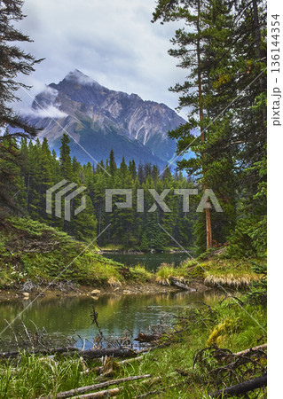 Moose Lake Forest and Mountain Reflections in Serene Wilderness Landscape 136144354