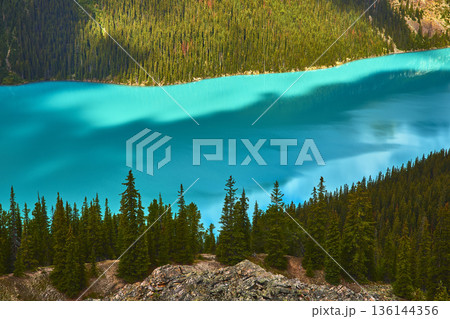 Peyto Lake Turquoise Water and Pine Forest in Banff National Park Canada 136144356