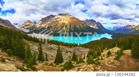 Panorama of Vibrant Peyto Lake with Majestic Mountains and Lush Forest in Banff 136144382