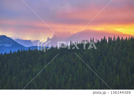Sunrise Over Pine Forest With Colorful Sky and Distant Mountains at Golden Hour 136144389