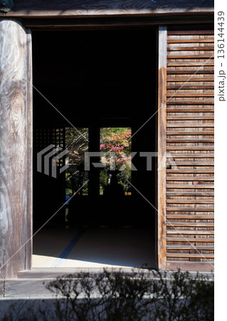 京都槙尾西明寺のお堂を通して見る紅葉 136144439