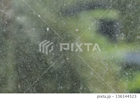 Abstract weathered surface with blurred background creating a unique natural texture under soft daylight for artistic backgrounds 136144523