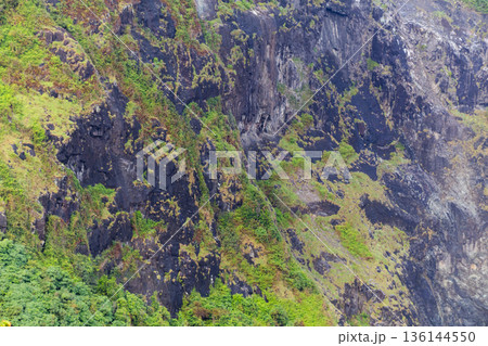 Steep rock cliff surface texture covered with green moss and tropical vegetation in a wet environment. Steep rock cliff surface texture covered with green moss and tropical vegetation in a wet environment. 136144550