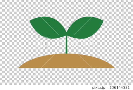 シンプルな双葉の成長のイメージイラスト ベクター素材 136144581