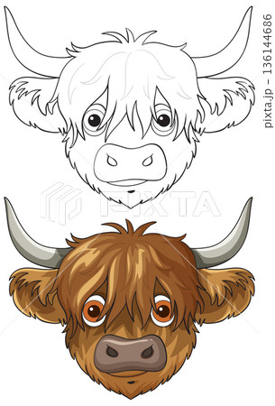 Highland Cow Cartoon Head with Color and Outline 136144686