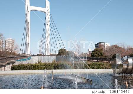 木場公園大橋と噴水 木場公園大橋と噴水 136145442