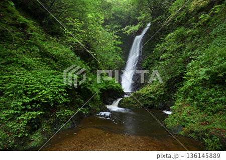 野鹿の滝（福井県おおい町） 136145889