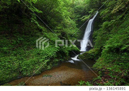 野鹿の滝（福井県おおい町） 136145891