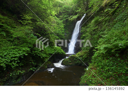 野鹿の滝（福井県おおい町） 136145892
