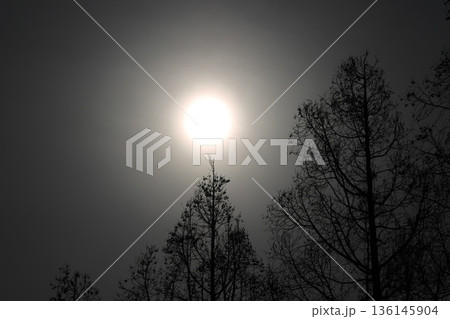 森に沈む太陽 森に沈む太陽 136145904