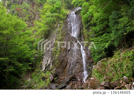 扁妙の滝（兵庫県神崎郡） 136146005