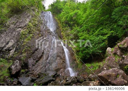 扁妙の滝（兵庫県神崎郡） 136146006