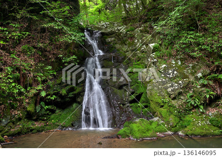 白滝（大阪府高槻市） 136146095