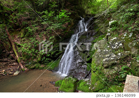 白滝（大阪府高槻市） 136146099