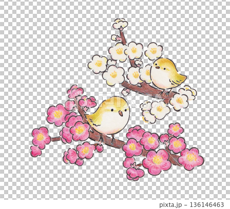 梅の花と鶯のイラスト 136146463