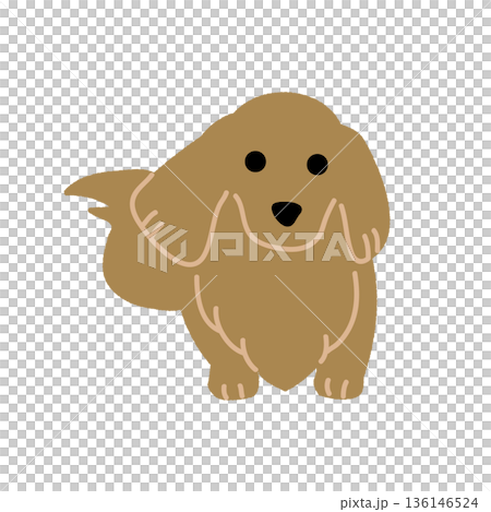 棕色臘腸犬面向前方的向量圖 136146524