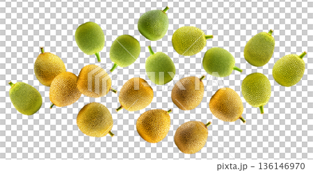Whole ripe and unripe jackfruits scattered and isolated on white background, healthy food concept Whole ripe and unripe jackfruits scattered and isolated on white background, healthy food concept 136146970