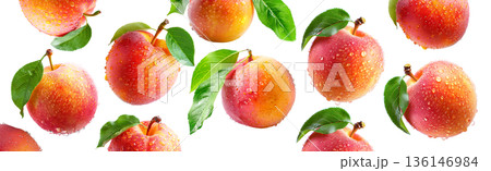 Juicy red-yellow plums and nectarines with dew drops and green leaves, isolated on white background, freshness and summer fruit 136146984